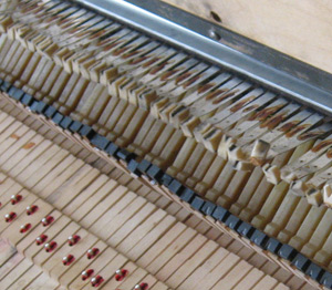 Water damaged Rhodes