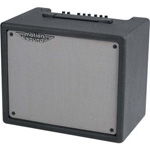 Rhodes Mono Amp